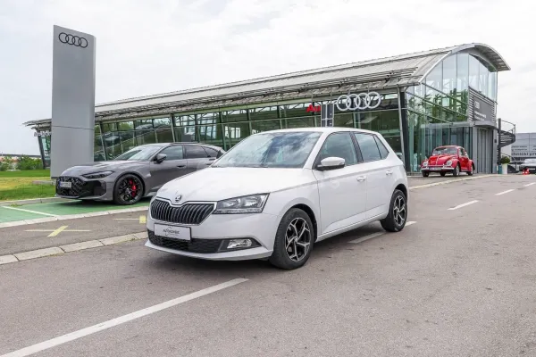 Škoda Fabia — polovni automobil