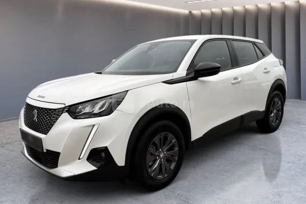 Peugeot 2008 — polovni automobil