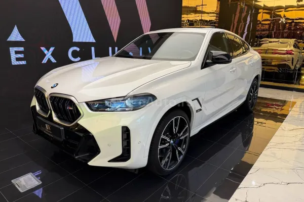 BMW X6 — polovni automobil